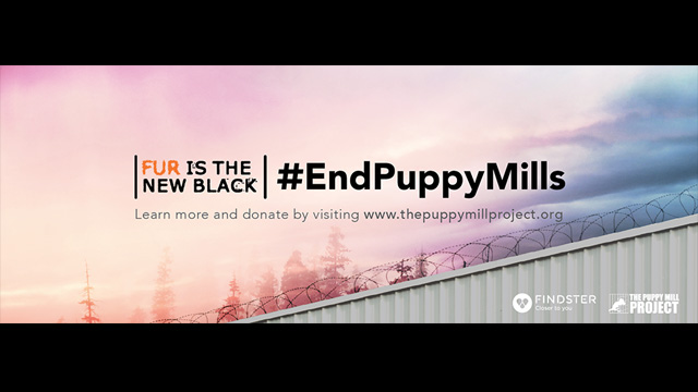 Help Us End Puppy Mills!