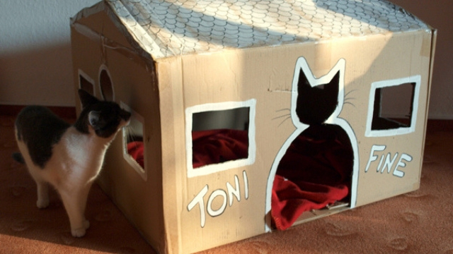 cardboard house diy cat toys