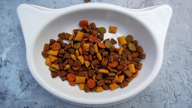 nutrition tips for pets - cat food