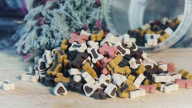 nutrition tips for pets - dog treats